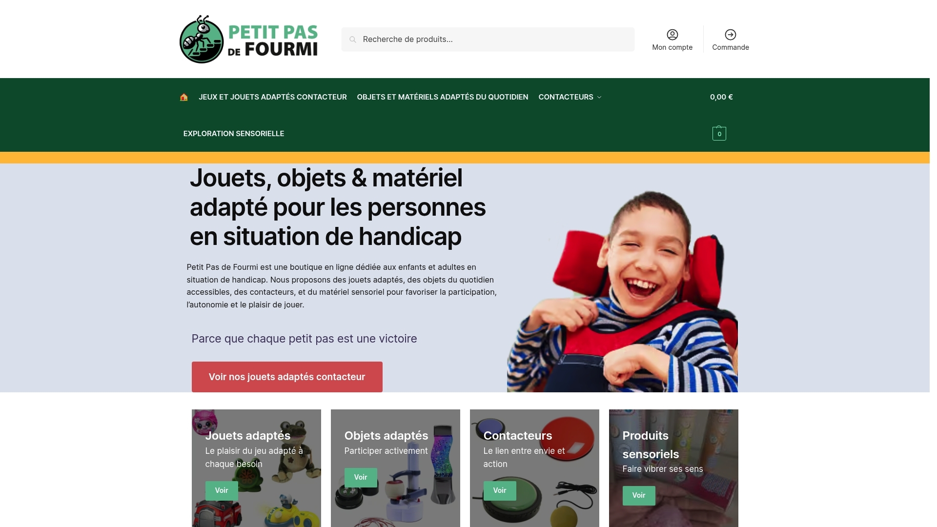 Screenshot of website Petit Pas de Fourmi