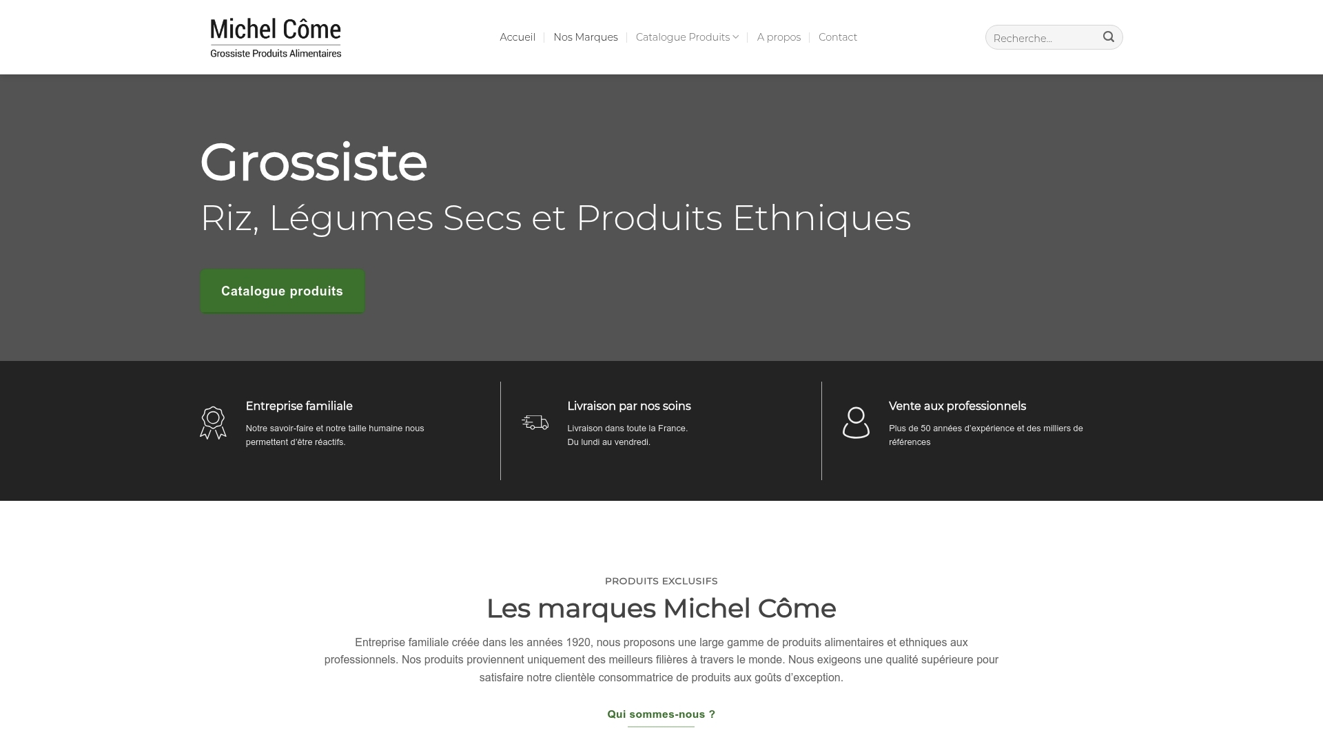Screenshot of website Michel Côme